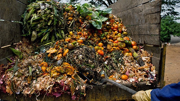 La tercera parte de la comida del mundo se desperdicia