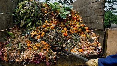 La tercera parte de la comida del mundo se desperdicia