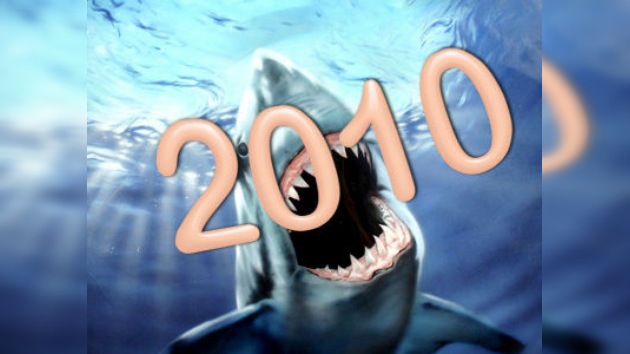 2010: el año de los ataques de tiburones