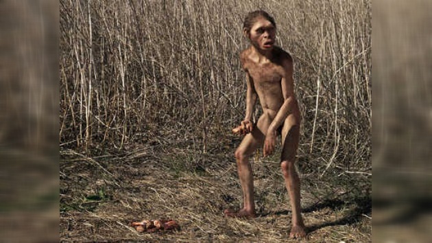 Encuentran un esqueleto casi completo de Homo habilis