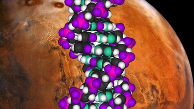 El sector privado se apunta a la búsqueda de vida extraterrestre
