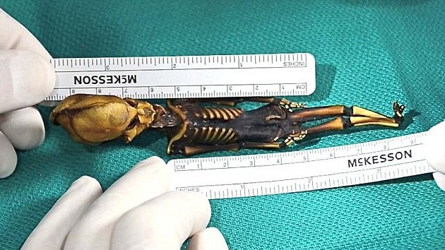 Se develó el misterio de la momia encontrada en Chile