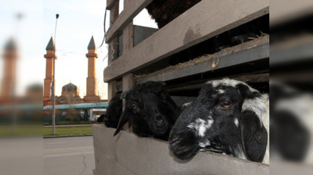 Artistas piden que limiten los sacrificios durante el Eid al-Adha en Moscú