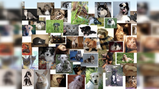 ¡Que tiemblen Twitter y Facebook! Ha nacido la primera red solo para mascotas