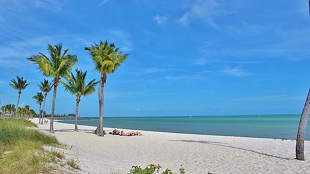¿El estado 51? En EE.UU. proponen dividir Florida