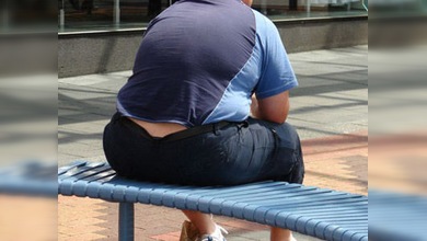 Científicos japoneses descubrieron que la ausencia de un gen provoca la obesidad