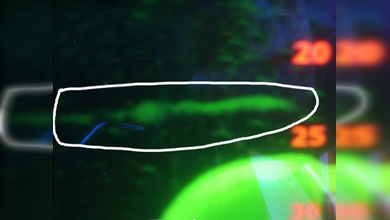 A la caza del monstruo del lago Ness: entre el sonar y el soñar