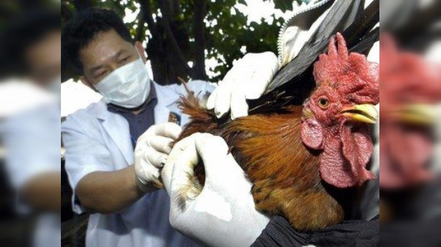 Dejan de investigar el virus más peligroso para evitar una 'epidemia' de alarmismo