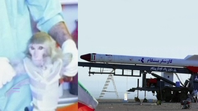 Video, Fotos: Irán lanza un mono al espacio