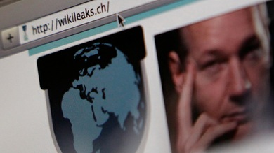 WikiLeaks