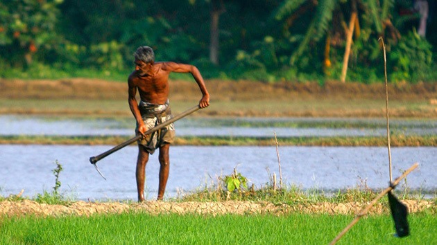 'Siembran' más desconfianza en Monsanto al relacionarla con una enfermedad mortal