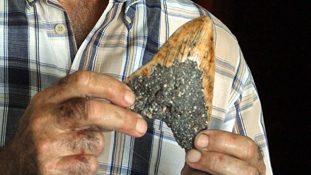 Políticos australianos reciben un 'antipremio' por su ignorancia ecológica