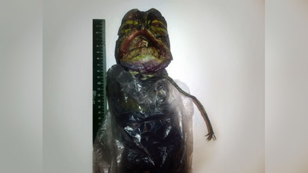 El alienígena que vino del frío... de la nevera