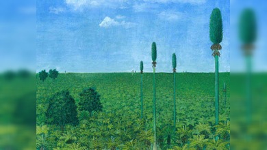 Descubren un bosque de 300 millones de años en China
