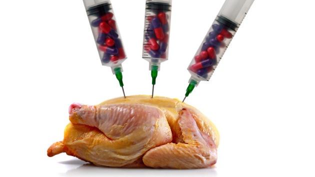 Pollo industrial, ¿una amenaza a la existencia humana?