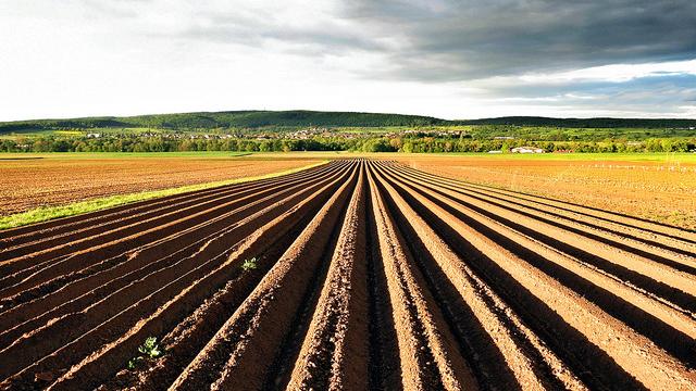 Privatisierung über alles? Wie Agrarmultis den fruchtbaren Boden der Ukraine aufkaufen