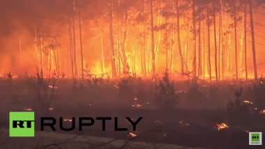 Laut Ukraine kein Grund zur Panik - „Waldbrand in Sperrzone von Tschernobyl unter Kontrolle gebracht"