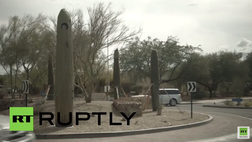 USA – Big Brother is watching you: Stadt in Arizona versteckt Kameras in gefälschten Kakteen