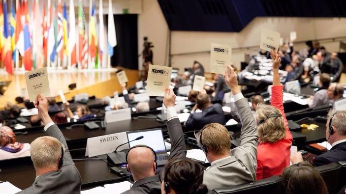 Neutralität auf Abwegen - OSZE positioniert sich im Ukraine-Konflikt auf Seiten Kiews