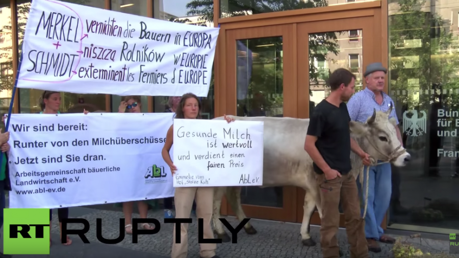 Landwirte protestieren in Berlin – „Merkel und Schmidt vernichten Bauern in Europa“