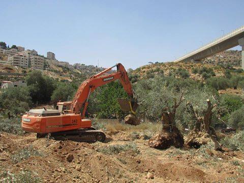 Israel führt trotz Einspruch des Obersten Gerichtshofes umstrittenen Mauerbau auf palästinensischem Gebiet fort