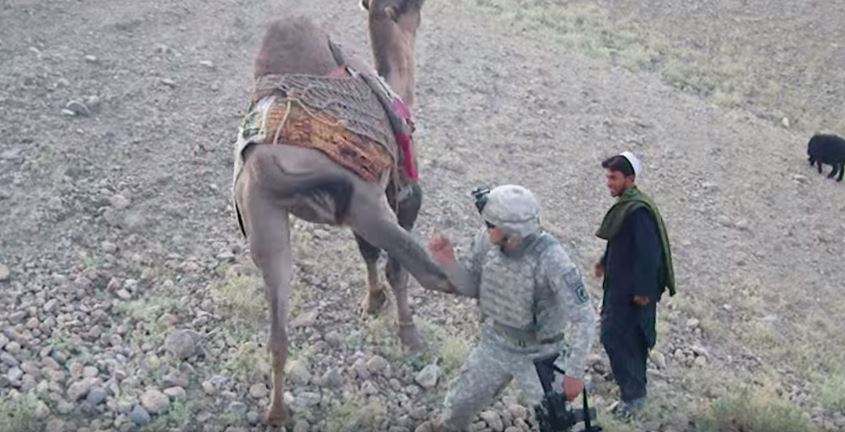 Afghanistan: Taliban stürmen Gefängnis und befreien 150 ihrer Kämpfer