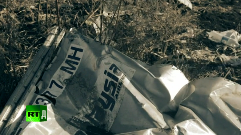 Vier Fragen an die niederländische Untersuchung des MH17-Crashs