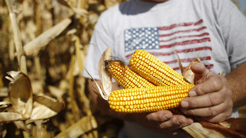 Keine GMOs erwünscht: Russland denkt über Importverbot für US-Sojabohnen und Mais nach