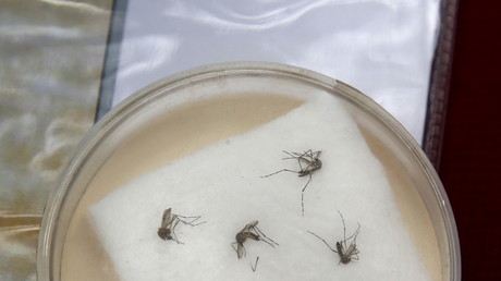 Live: WHO Pressekonferenz zum Zika-Virus