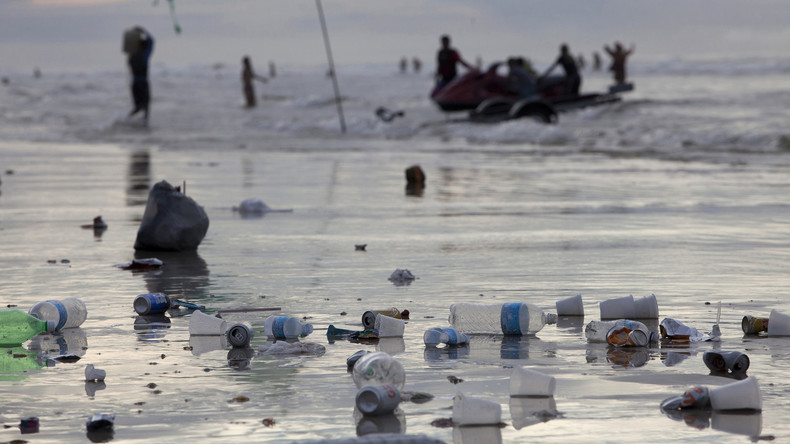 Leiter des maritimen WWF-Programms zu RT: Ozeanverschmutzung untergräbt das ganze Ökosystem