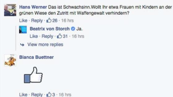 Asylpanzer und Schießbefehl - Politische Geschmacklosigkeiten zur Narrenzeit