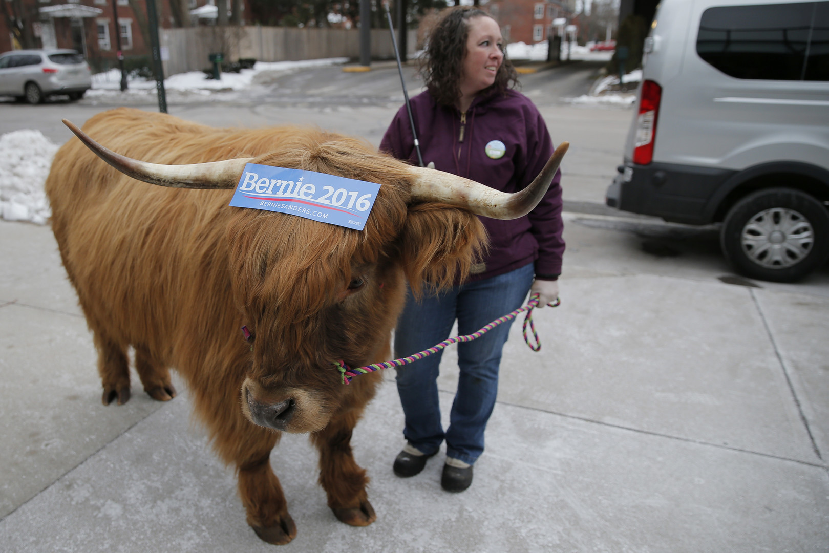 60 Prozent: Bernie Sanders räumt in New Hampshire ab