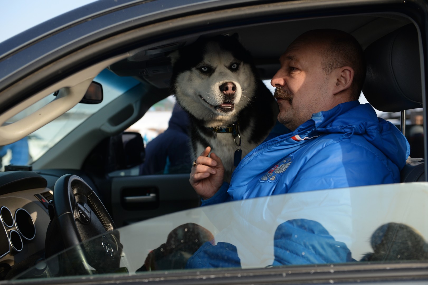 Bilderstrecke: Husky-Schlittenhund-Festival in Nowosibirsk