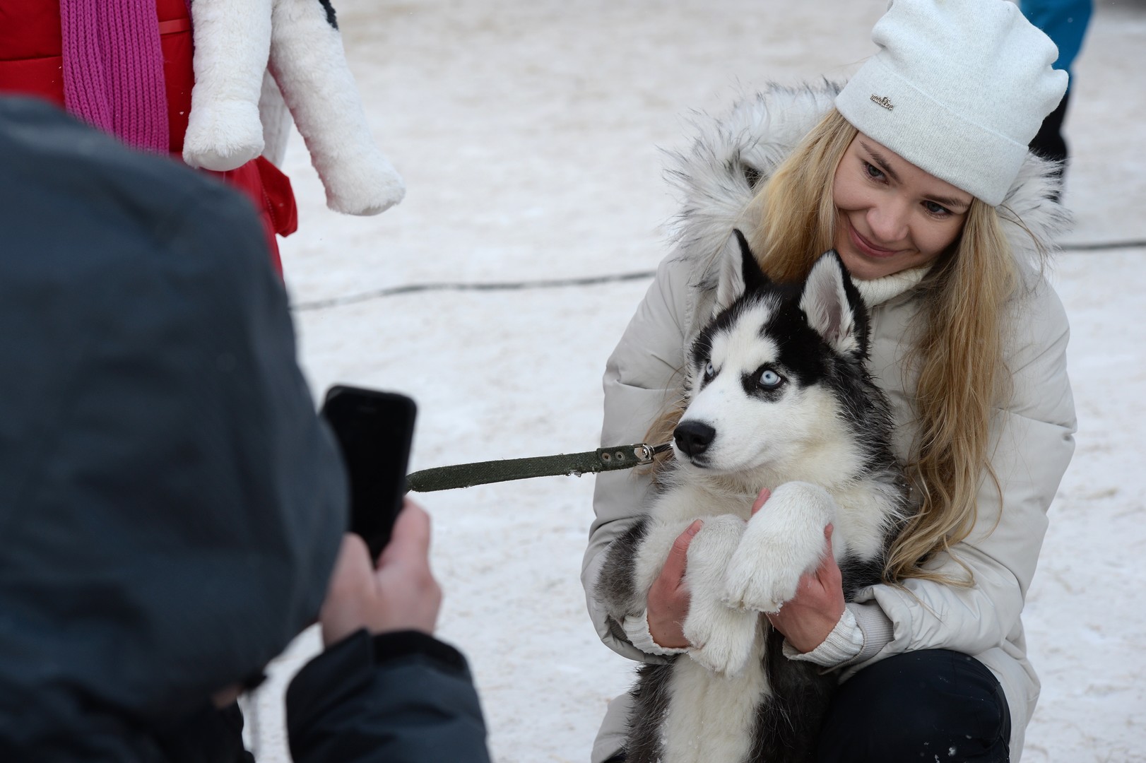 Bilderstrecke: Husky-Schlittenhund-Festival in Nowosibirsk