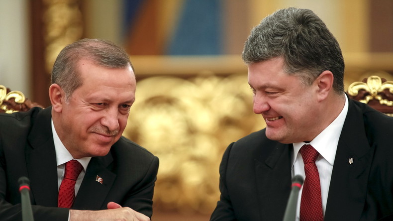 Allianz zwischen Kiew und Ankara: Verkauf der Kohleminen an Türkei und militärische Zusammenarbeit