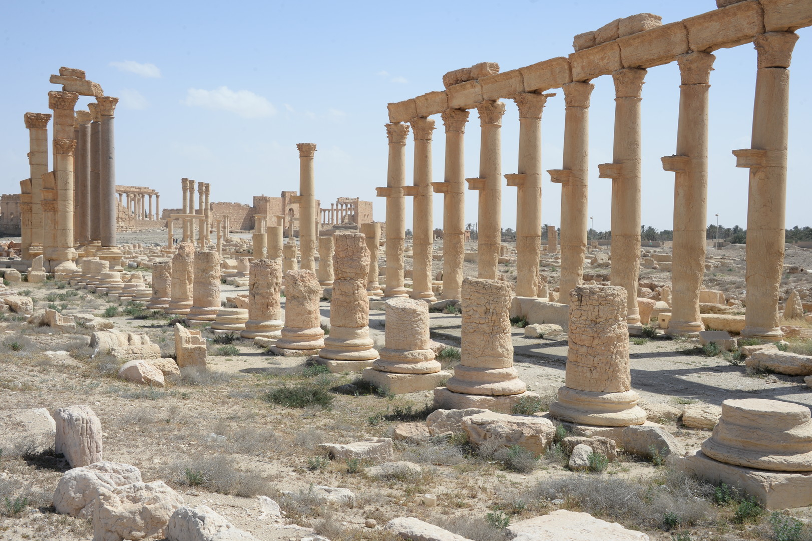 RT im Gespräch mit Kunstexperten zu Palmyra: Schäden enorm, aber Wiederherstellung möglich