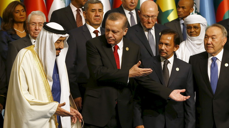 Türkische Regierung auf dem OIC-Gipfel: „Besetzte Territorien wie Palästina und Krim befreien“
