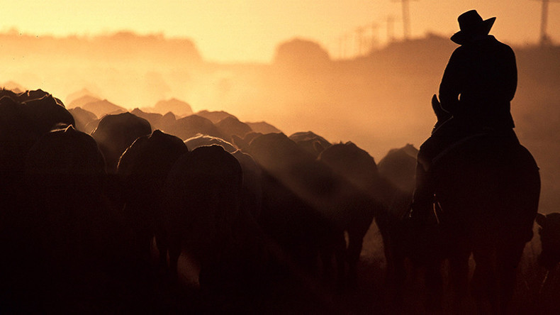 Chinesische Investoren wollen 11 Millionen Hektar Land in Australien aufkaufen