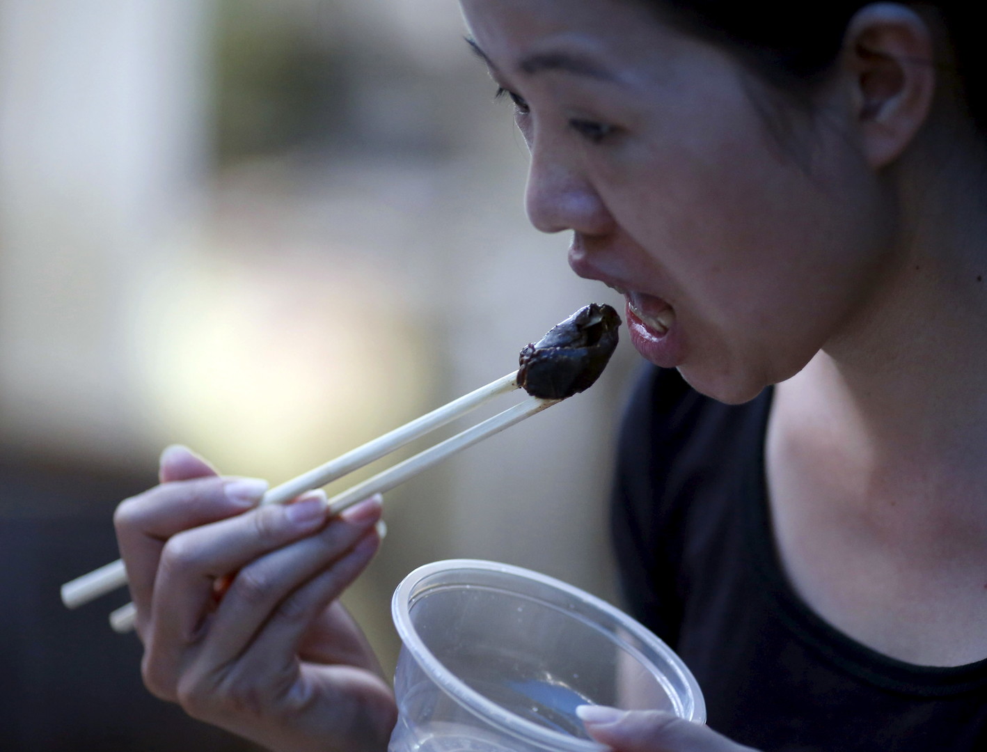 Die Chinesen im Hundefieber
