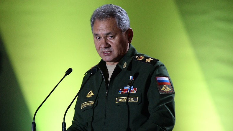 Schoigu: Russland und der Westen haben sehr unterschiedliches Verständnis von gemäßigter Opposition