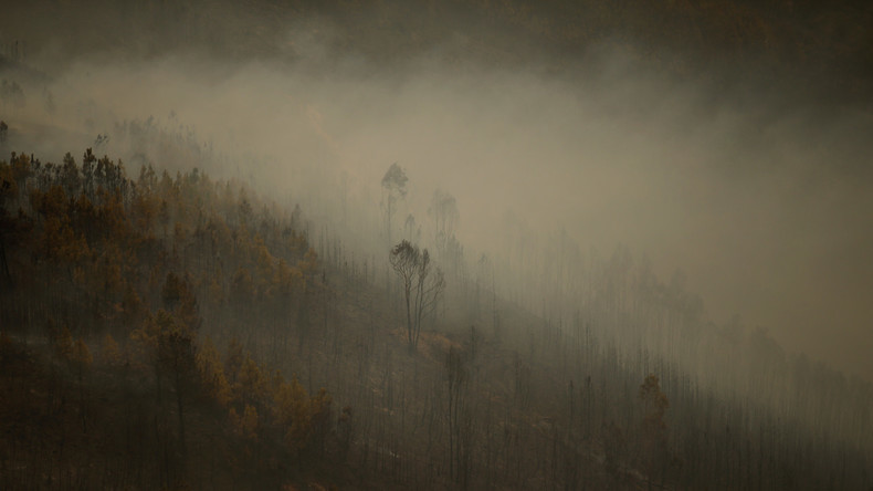 Russland hilft bei Löschung von Mega-Waldbränden in Portugal