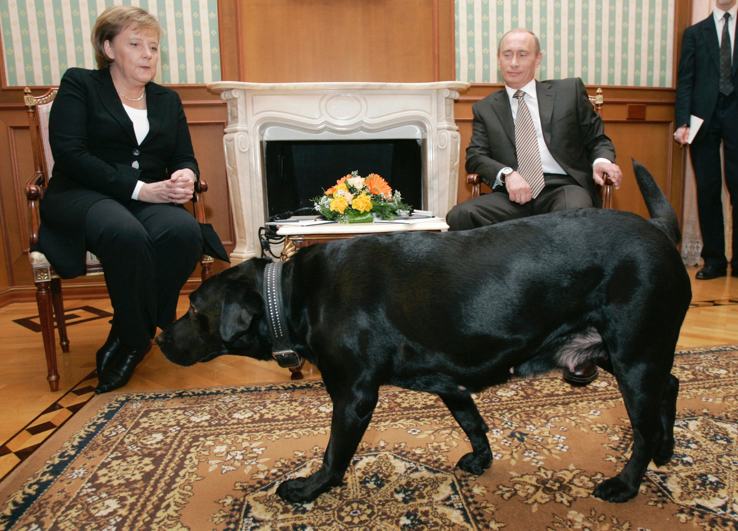 Nach Eklat mit Putins Hund - Merkel plötzlich von Hundephobie befreit?