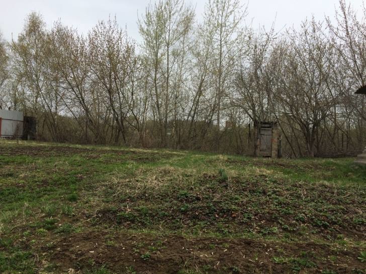 Trautes Heim, Glück allein: Was kostet das teuerste Landhaus Russlands?