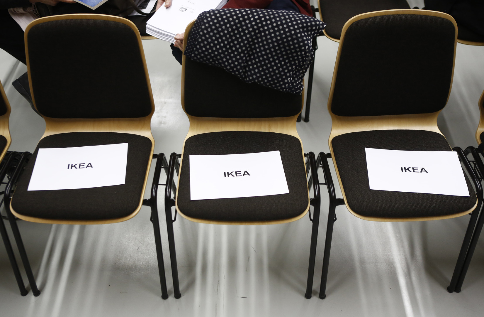 IKEA holzt ab: Schwedischer Konzern soll Nutzwälder aus illegalen Mafia-Beständen erworben haben