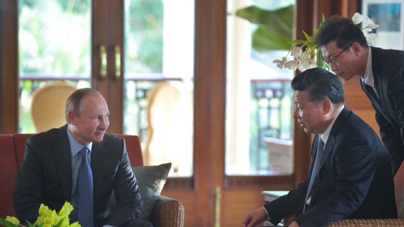 BRICS-Gipfel in Indien: Wladimir Putin und Xi Jinping erörtern Syrien-Krise