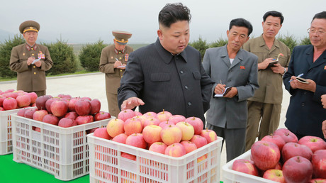 "Jangmadang": Nordkorea und die kapitalistische Revolution aus dem Untergrund