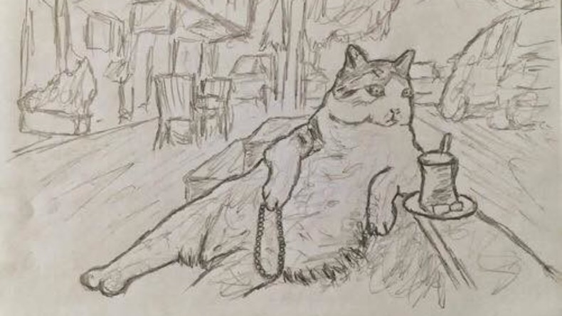 Die Katze geht ihre eigenen Wege: Kater von Istanbul ist wieder zurück