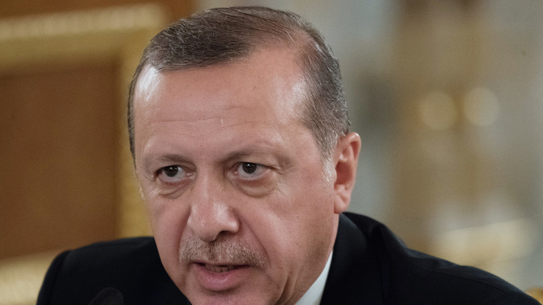 Erdoğan: Die Türkei begann Operation in Syrien um Assad zu stürzen
