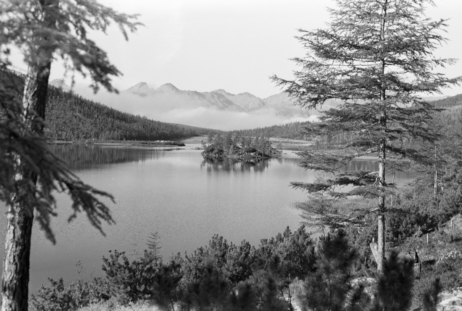 Der tragische Kraftprotz - Zum 100. Todestag von Jack London