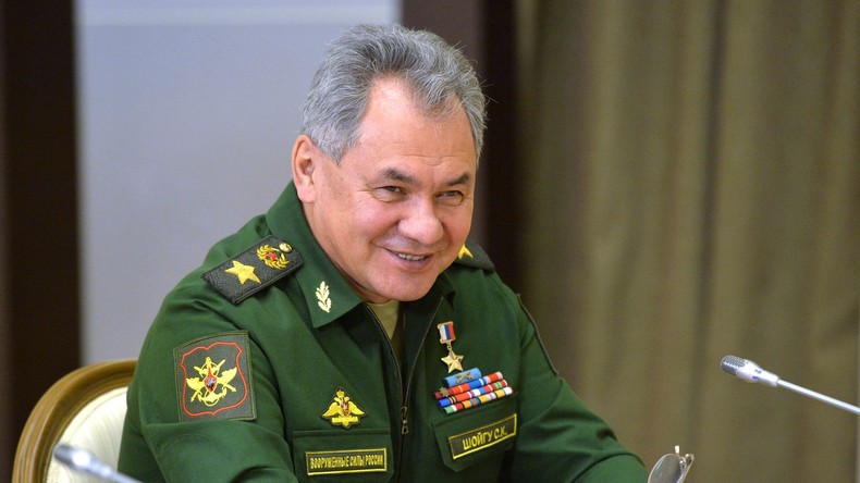 Russischer Verteidigungsminister: Palmyra zeigt, dass man Terroristen keine Atempause geben darf